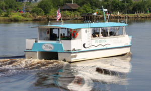 blue and white boat traveling up a river