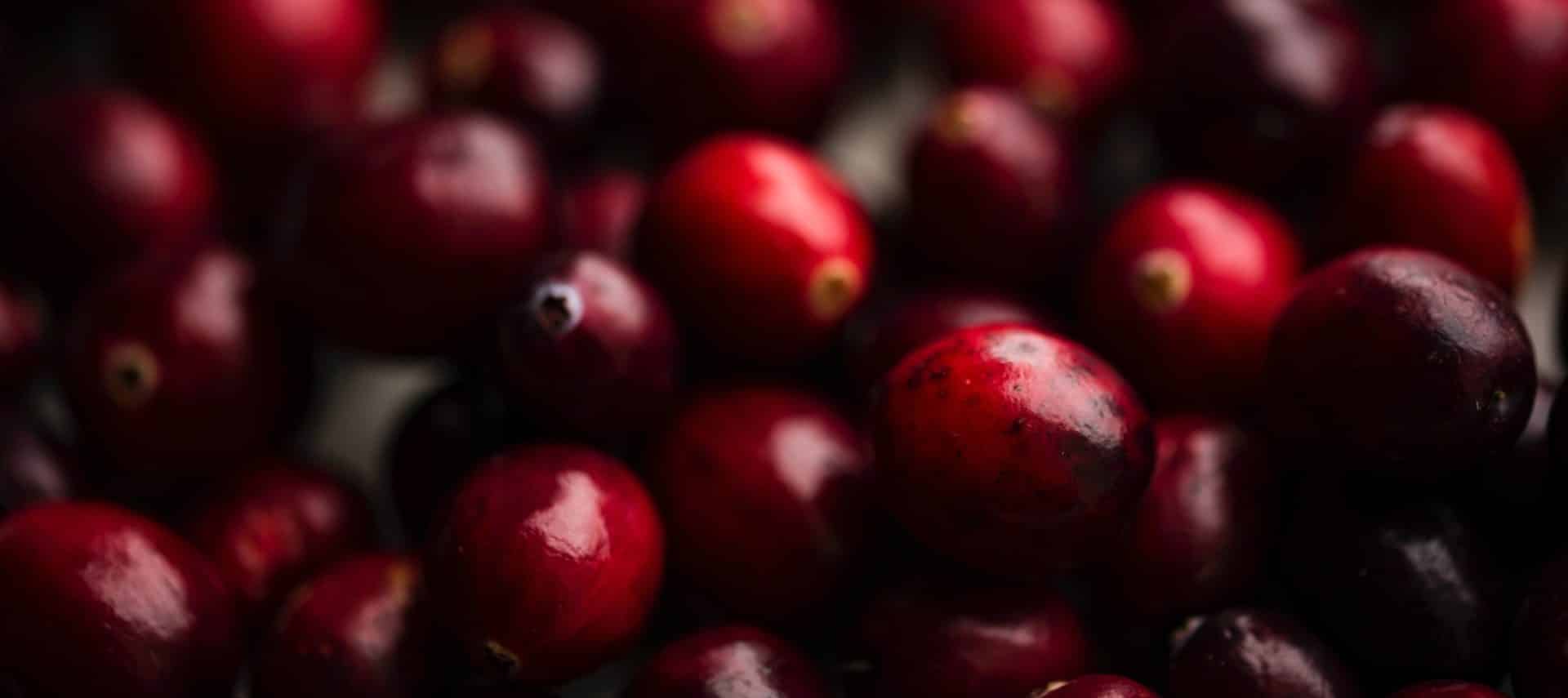 picture of raw dark red and bright red cranberries